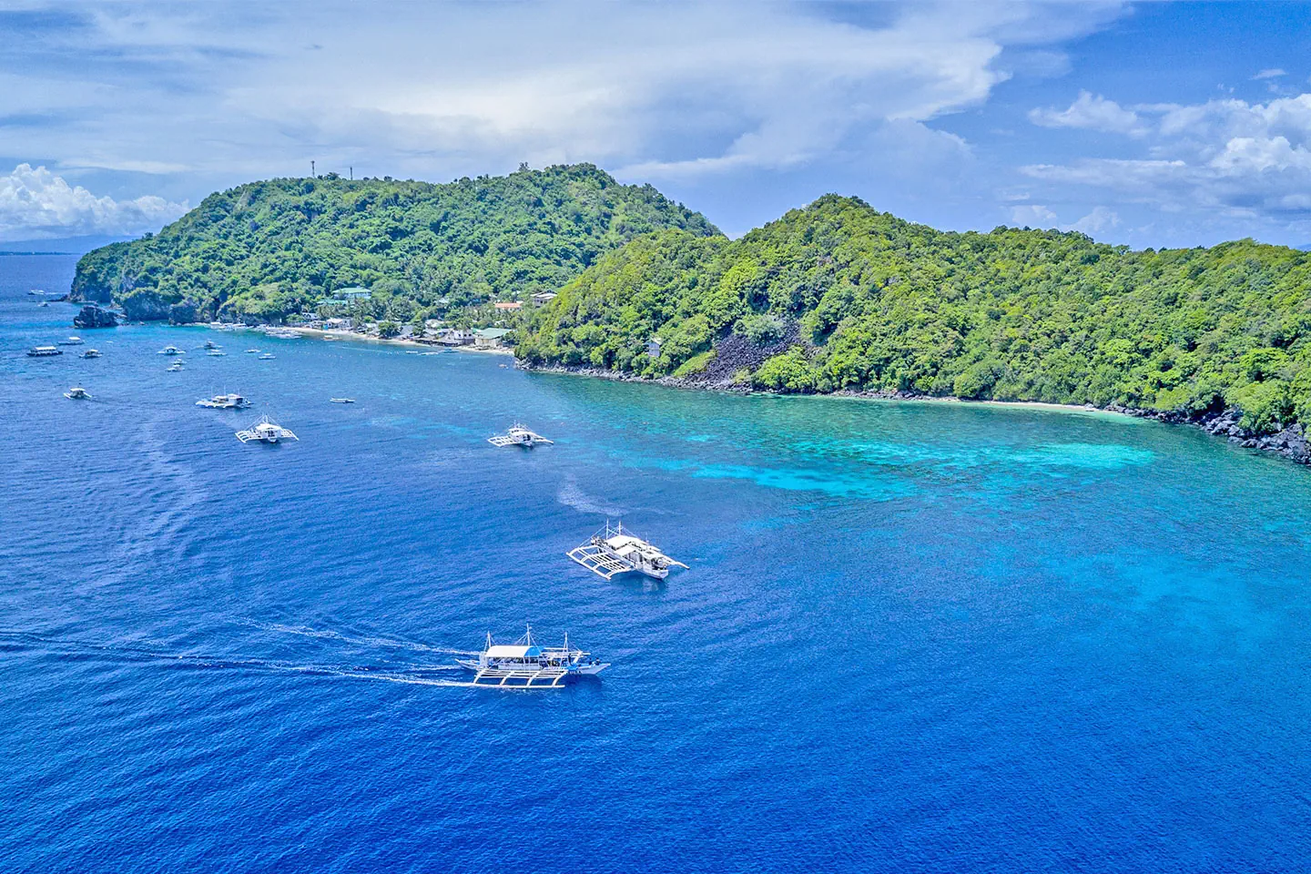 Apo Island Snorkeling Day Tour