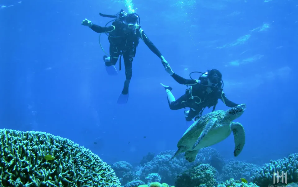 Dive Apo Island